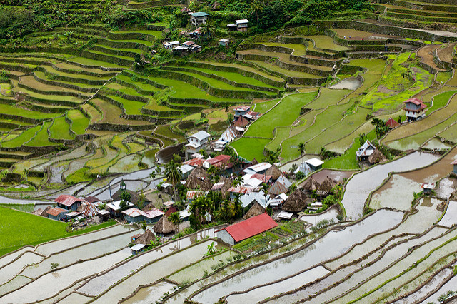 Arrozales en Batad Filipinas